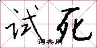 试死怎么写好看