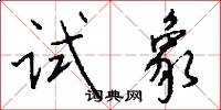 试象怎么写好看