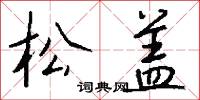 松盖怎么写好看