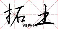 拓土怎么写好看