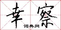 幸察怎么写好看