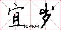 宜岁怎么写好看