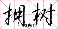 拥树怎么写好看