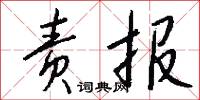 责报怎么写好看