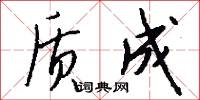 质成怎么写好看