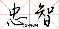 忠智怎么写好看