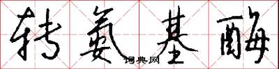 转氨基酶怎么写好看