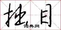 拙目怎么写好看