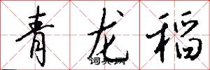 青龙稻怎么写好看