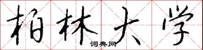 柏林大学怎么写好看
