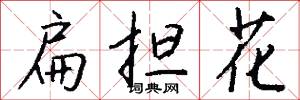 扁担花怎么写好看