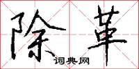 除革怎么写好看