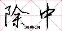 除中怎么写好看