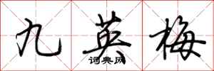 九英梅怎么写好看