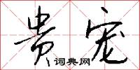 贵宠怎么写好看