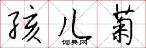 孩儿菊怎么写好看