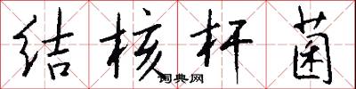 结核杆菌怎么写好看