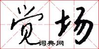 觉场怎么写好看