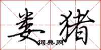 娄猪怎么写好看
