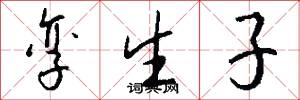 孪生子怎么写好看