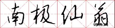 南极仙翁怎么写好看