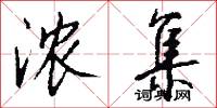 浓集怎么写好看