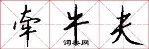 牵牛夫怎么写好看
