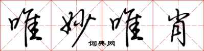 唯妙唯肖怎么写好看
