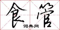 食管怎么写好看