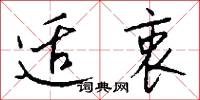 适衷怎么写好看
