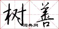 树善怎么写好看
