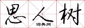 思人树怎么写好看