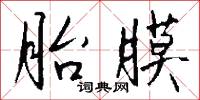 胎膜怎么写好看