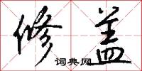 修盖怎么写好看