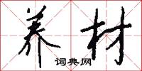 养材怎么写好看