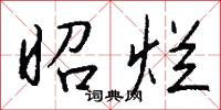 昭烂怎么写好看