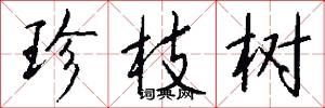 珍枝树怎么写好看