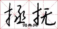 拯抚怎么写好看