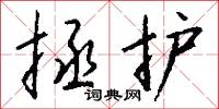 拯护怎么写好看