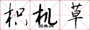 枳机草怎么写好看