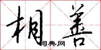相善怎么写好看