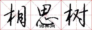 相思树怎么写好看