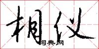 相仪怎么写好看