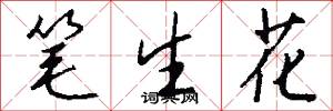 笔生花怎么写好看