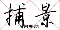 捕景怎么写好看