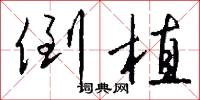 倒植怎么写好看