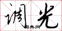 调光怎么写好看