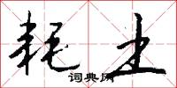 耗土怎么写好看
