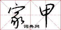 家甲怎么写好看