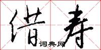借寿怎么写好看